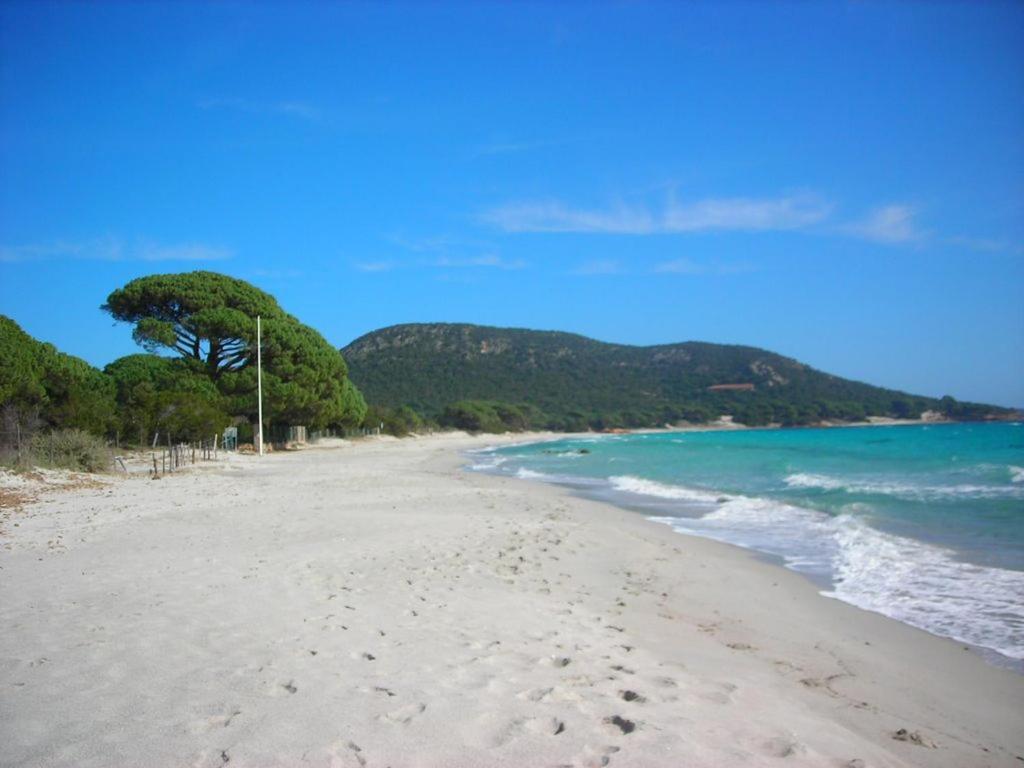 Villa Largia Porto Vecchio - A 5 Min Des Plages De Palombaggia - Calme- Climatisation Buitenkant foto