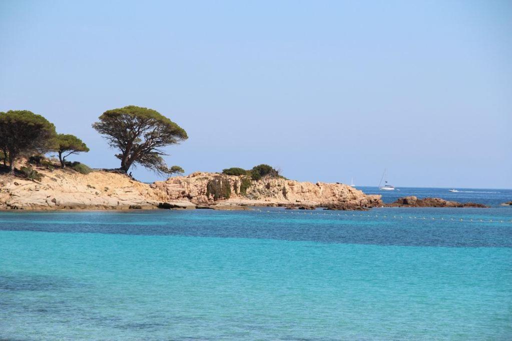 Villa Largia Porto Vecchio - A 5 Min Des Plages De Palombaggia - Calme- Climatisation Buitenkant foto